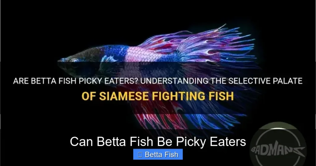 Can Betta Fish Be Picky Eaters