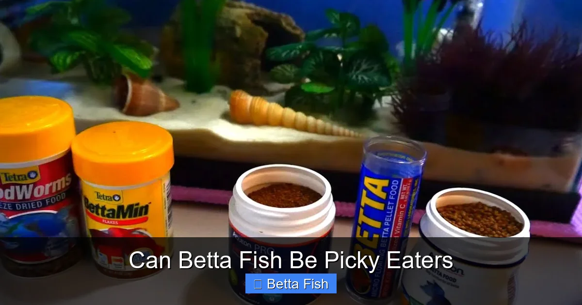 Can Betta Fish Be Picky Eaters
