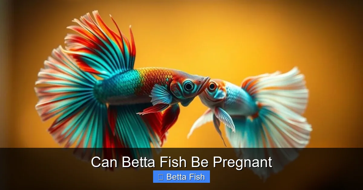 Can Betta Fish Be Pregnant