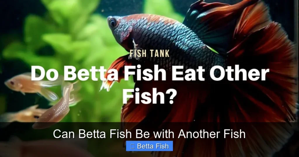 Can Betta Fish Be with Another Fish