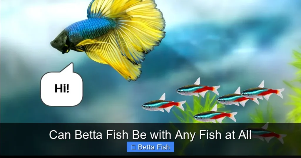 Can Betta Fish Be with Any Fish at All