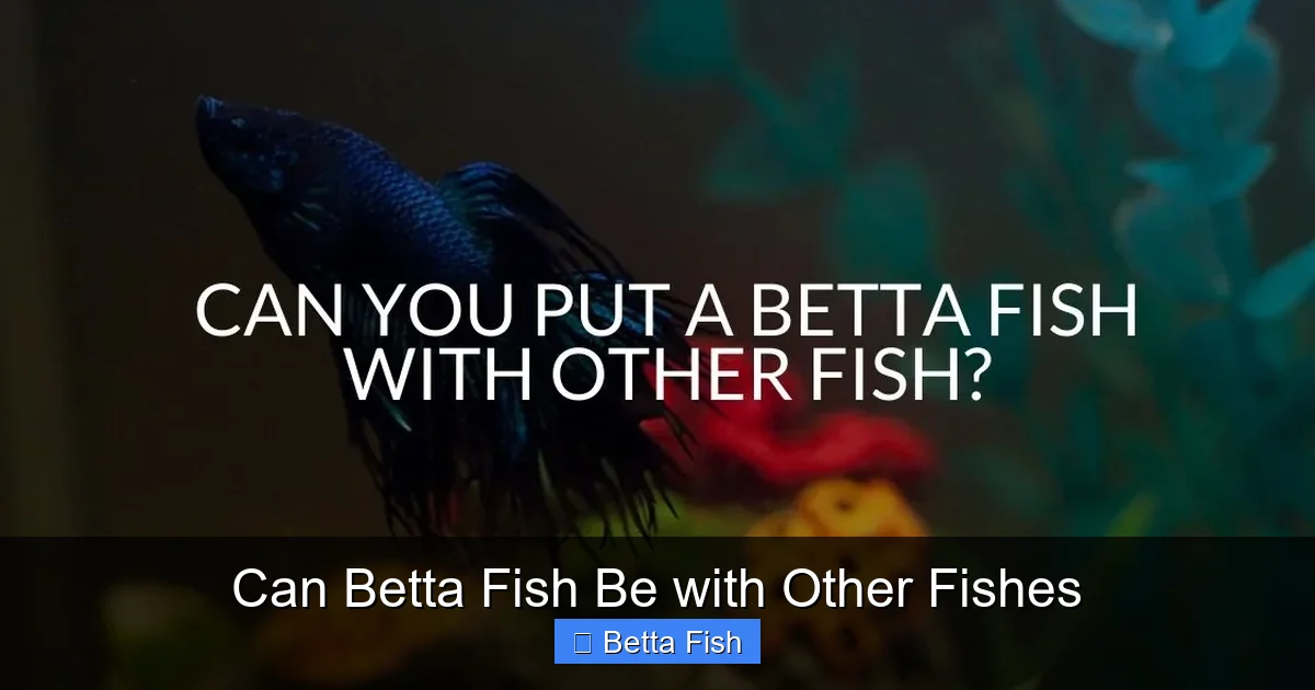 Can Betta Fish Be with Other Fishes