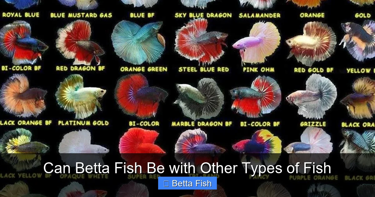 Can Betta Fish Be with Other Types of Fish