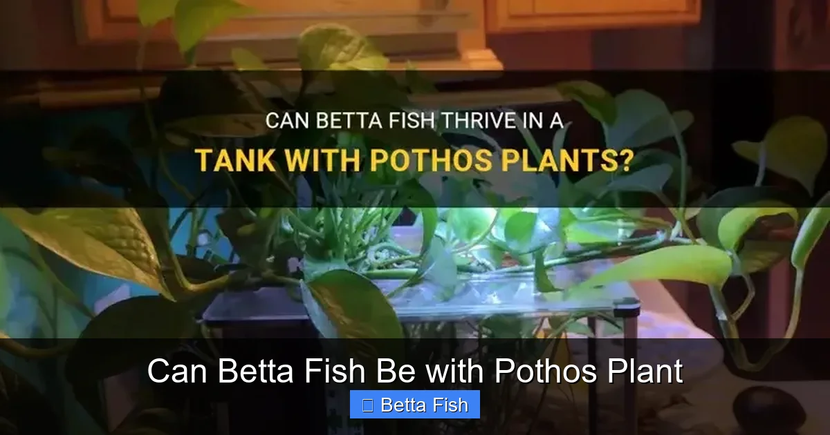 Can Betta Fish Be with Pothos Plant