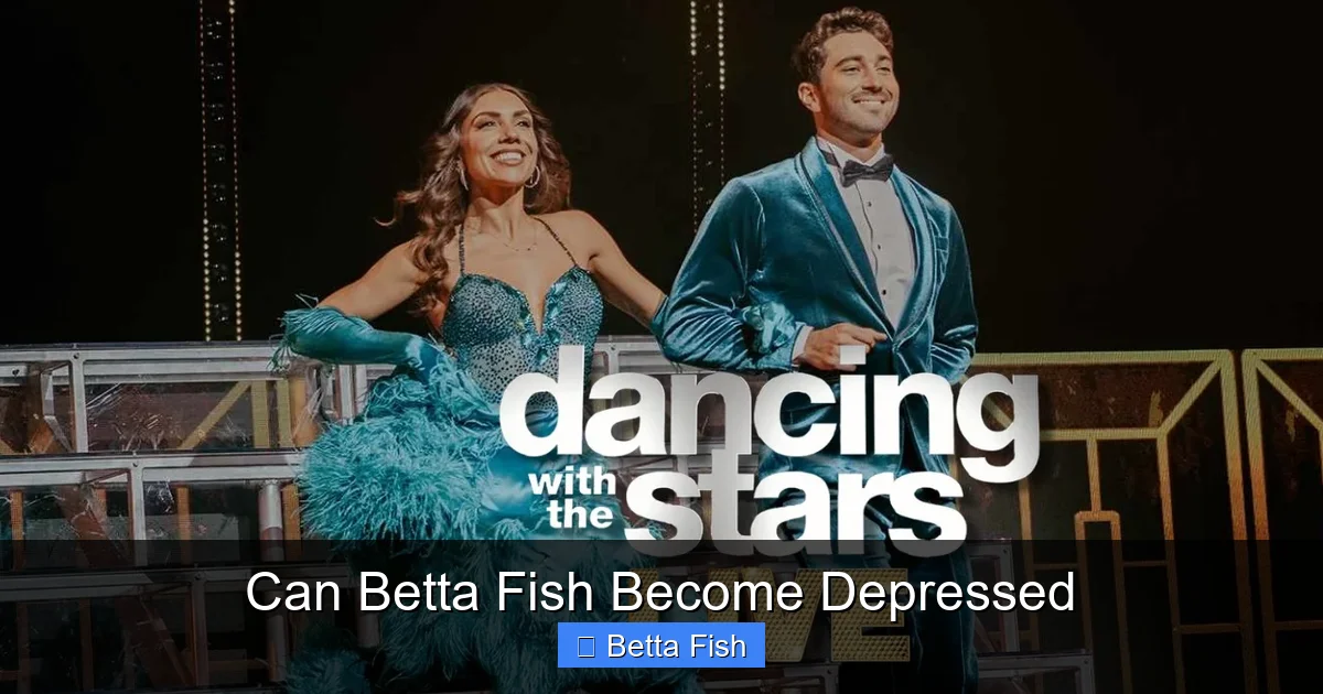 Can Betta Fish Become Depressed