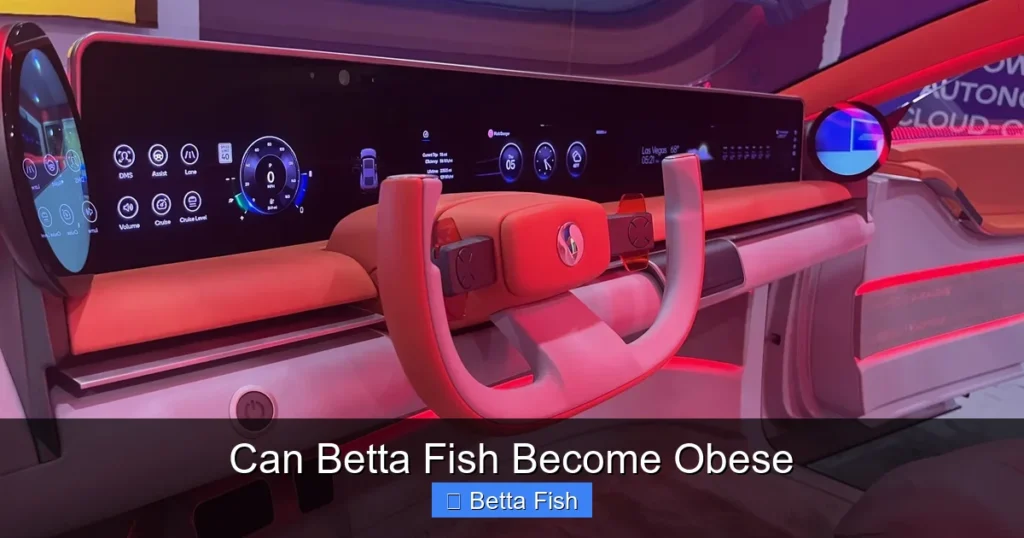 Can Betta Fish Become Obese