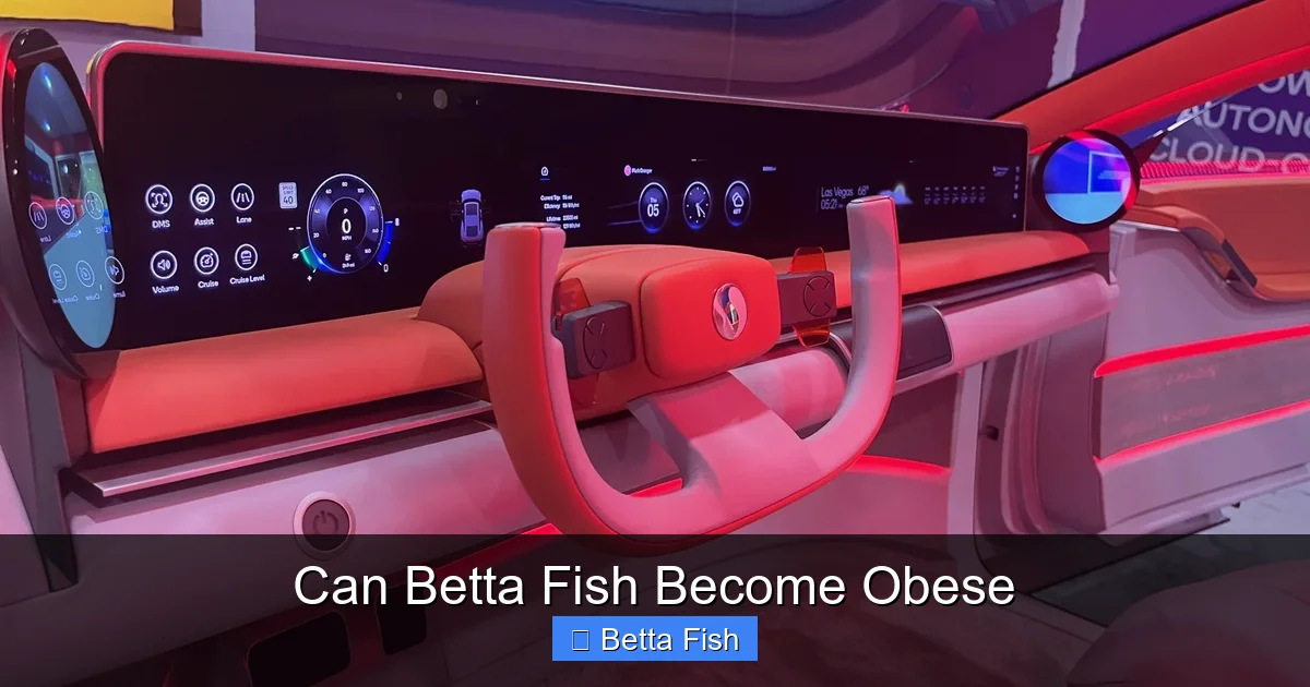 Can Betta Fish Become Obese