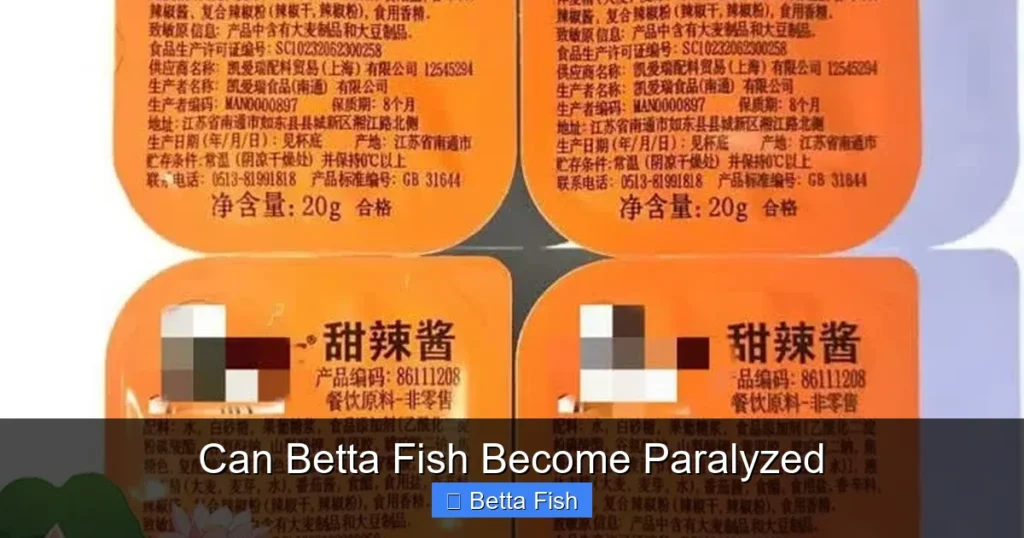 Can Betta Fish Become Paralyzed
