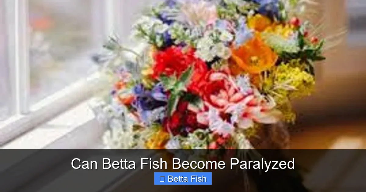 Can Betta Fish Become Paralyzed