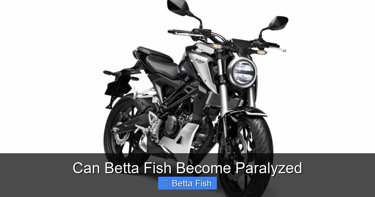 Can Betta Fish Become Paralyzed