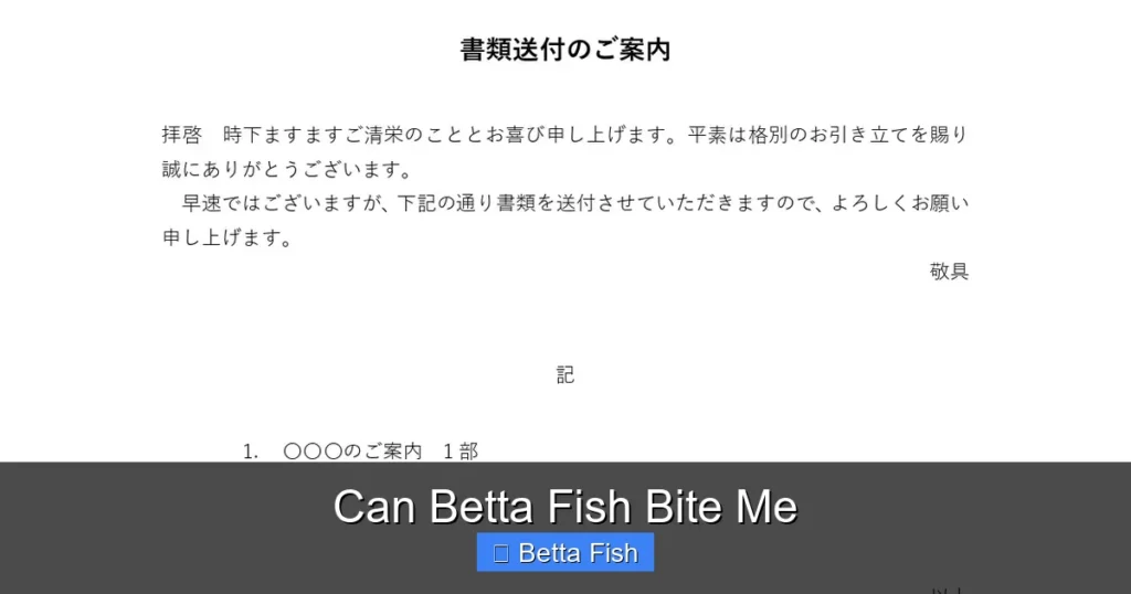 Can Betta Fish Bite Me