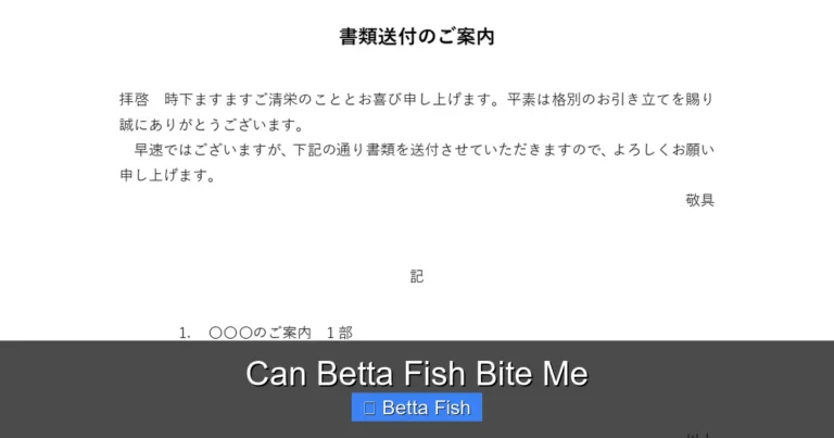 Can Betta Fish Bite Me