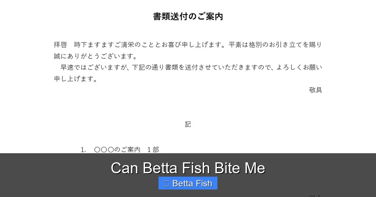 Can Betta Fish Bite Me
