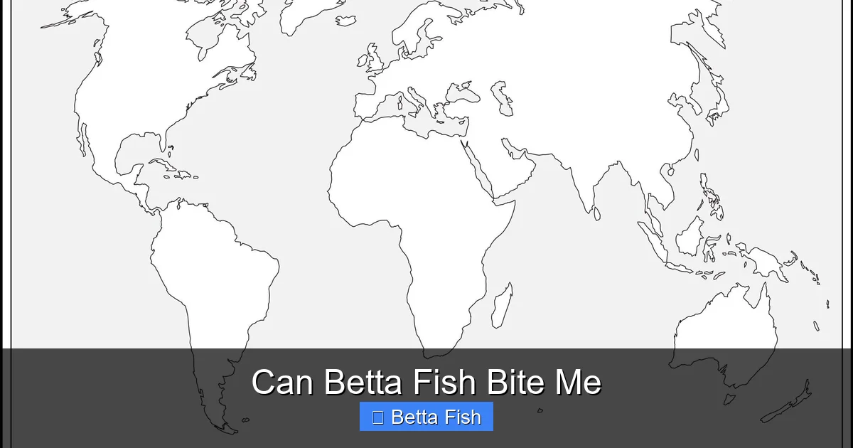 Can Betta Fish Bite Me