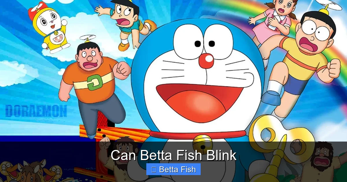 Can Betta Fish Blink