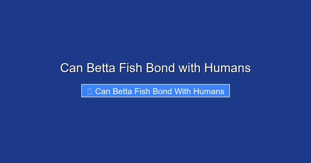 Can Betta Fish Bond with Humans