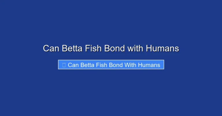 Can Betta Fish Bond with Humans