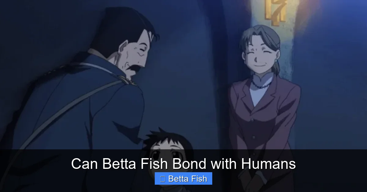 Can Betta Fish Bond with Humans