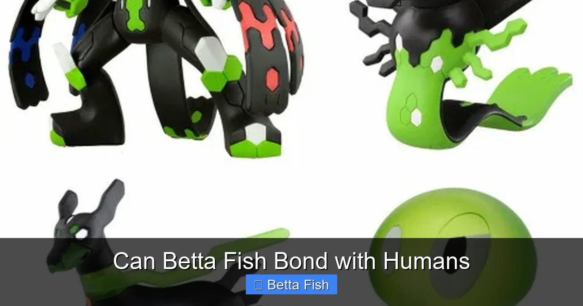 Can Betta Fish Bond with Humans