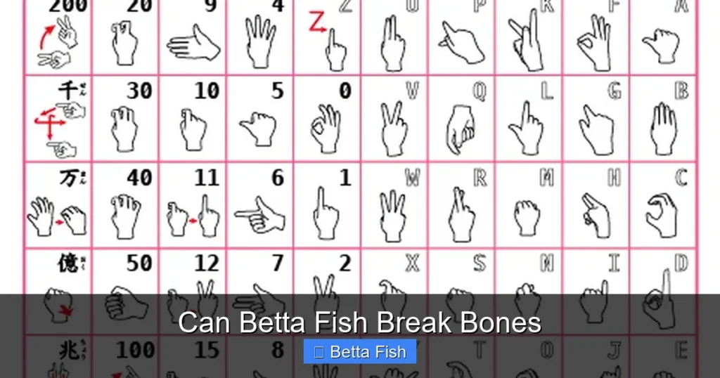 Can Betta Fish Break Bones