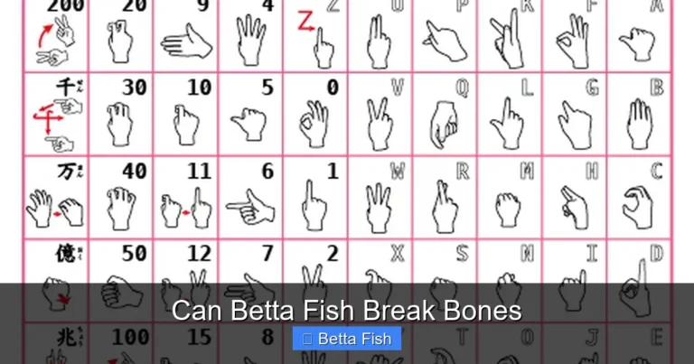 Can Betta Fish Break Bones
