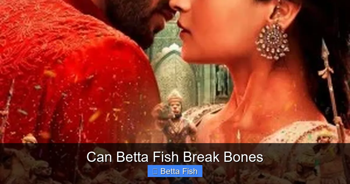 Can Betta Fish Break Bones