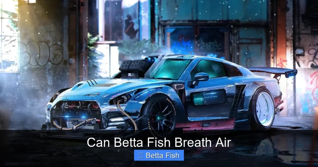 Can Betta Fish Breath Air