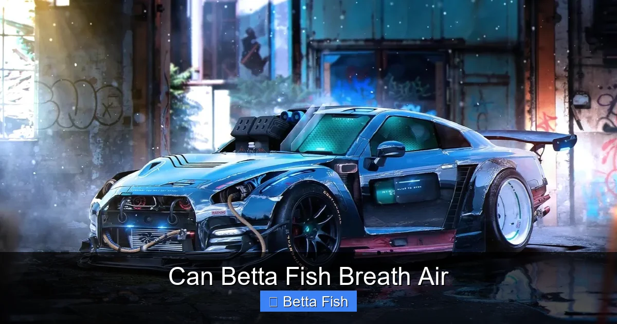 Can Betta Fish Breath Air