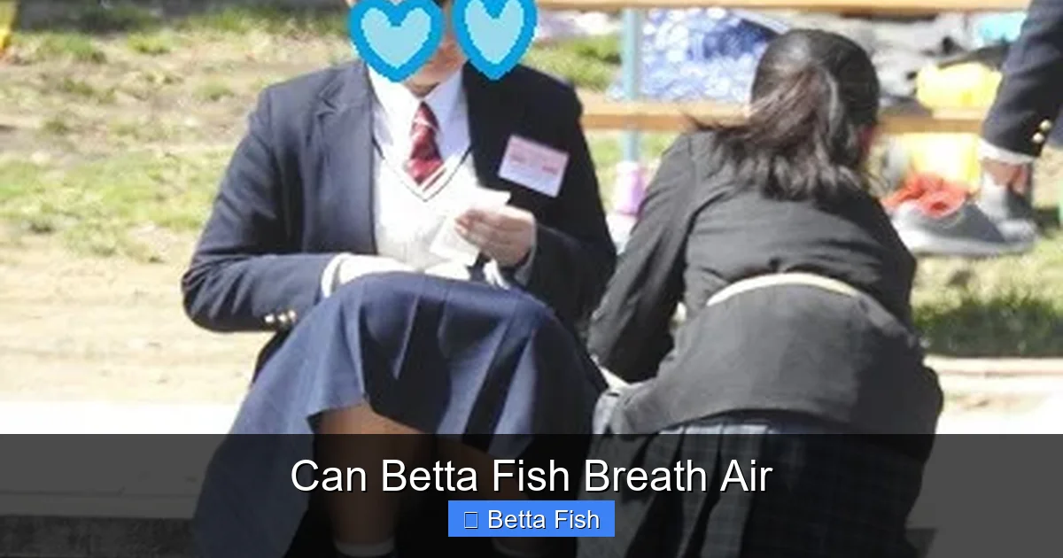 Can Betta Fish Breath Air