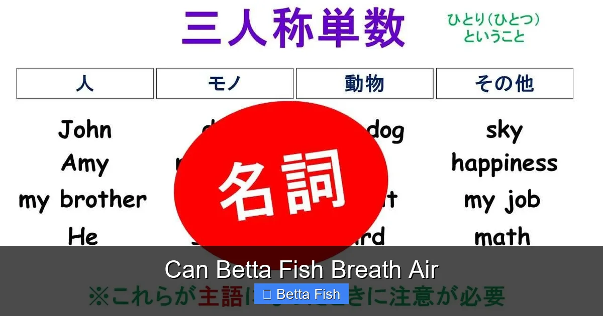 Can Betta Fish Breath Air