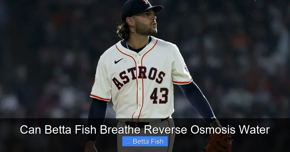Can Betta Fish Breathe Reverse Osmosis Water