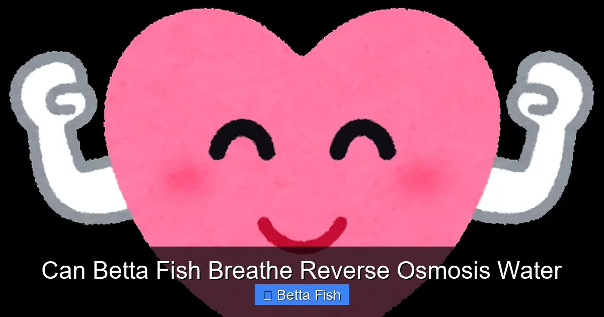 Can Betta Fish Breathe Reverse Osmosis Water