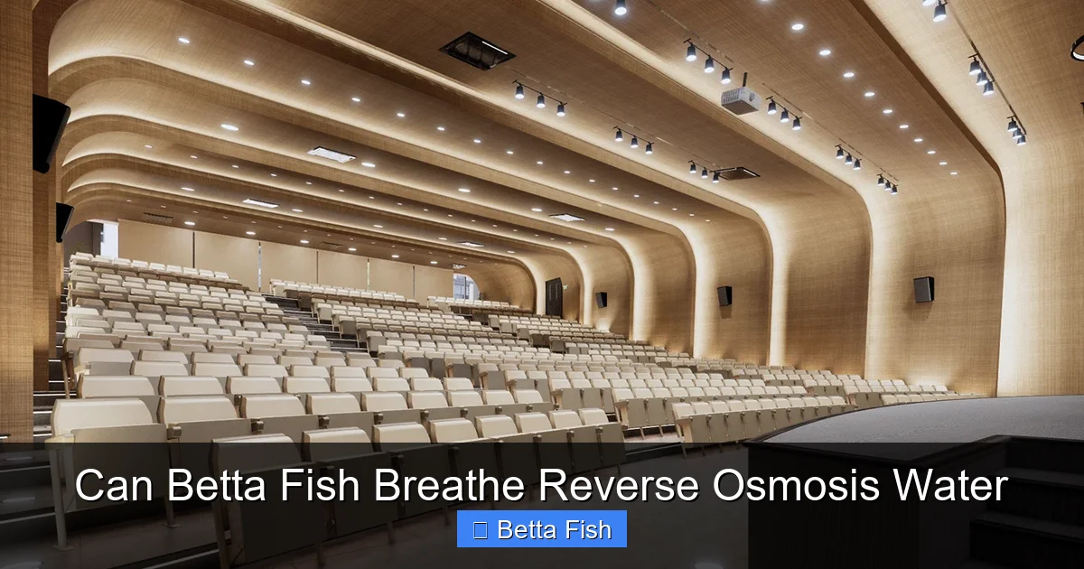 Can Betta Fish Breathe Reverse Osmosis Water