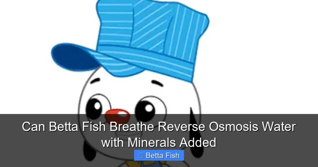 Can Betta Fish Breathe Reverse Osmosis Water with Minerals Added