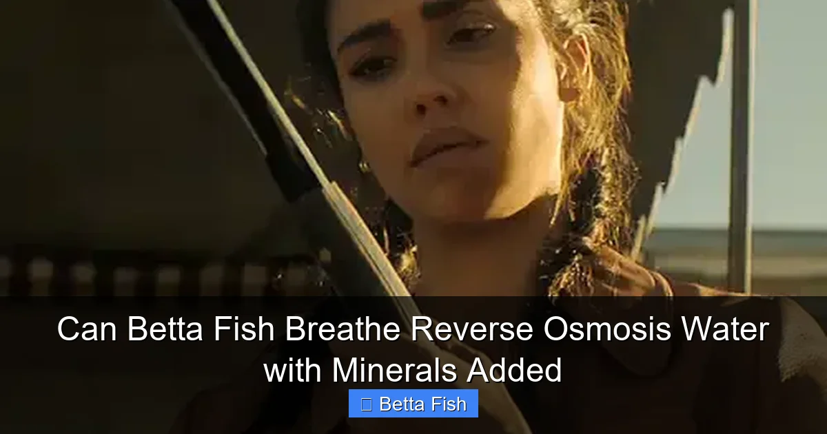 Can Betta Fish Breathe Reverse Osmosis Water with Minerals Added