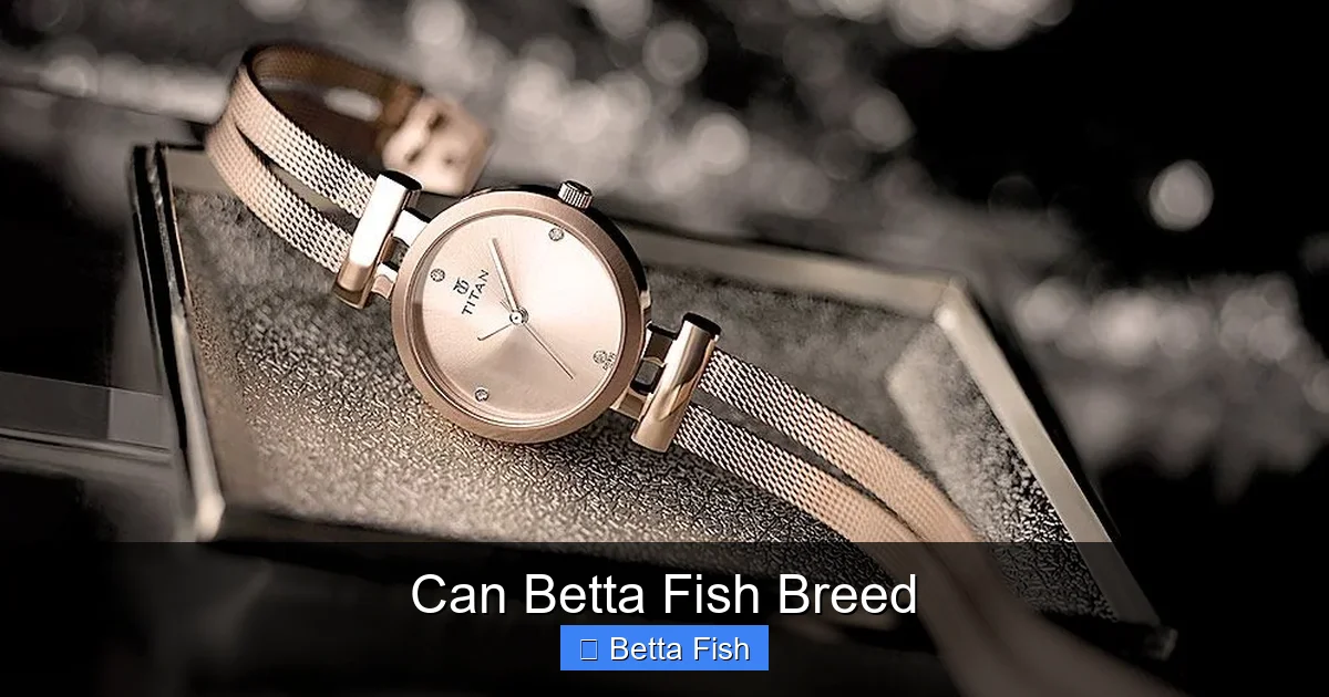 Can Betta Fish Breed