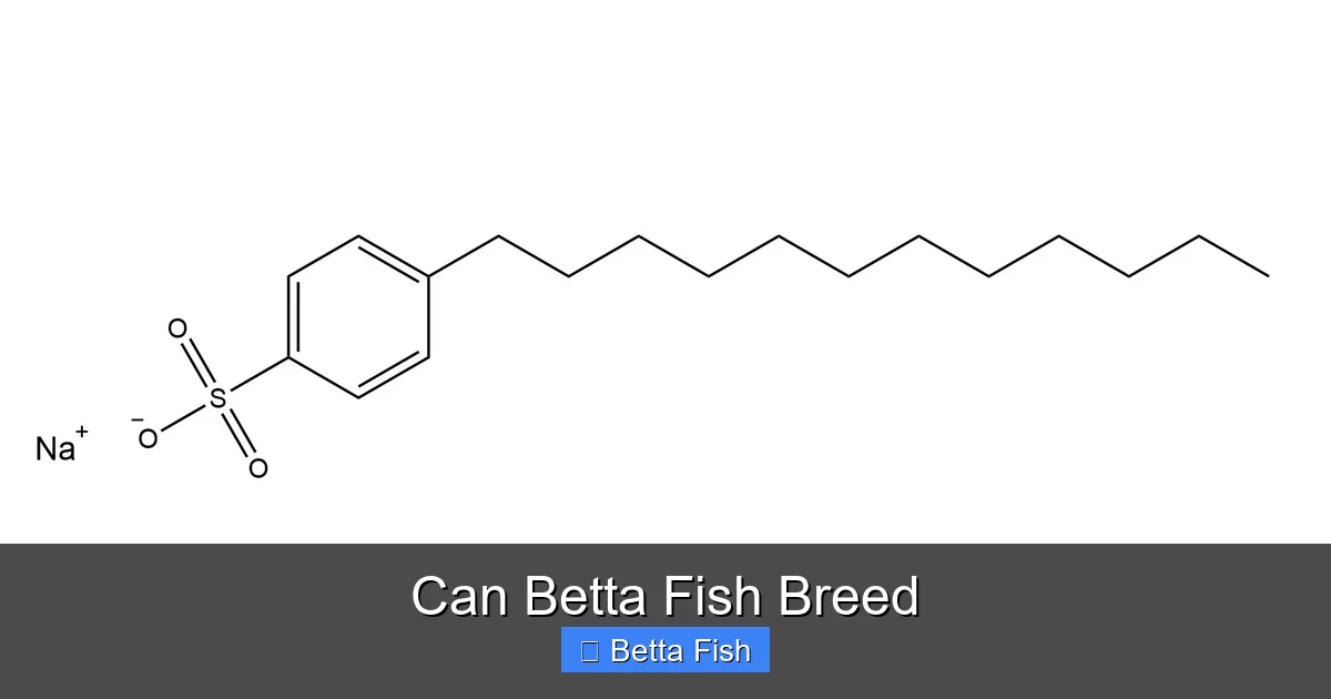 Can Betta Fish Breed