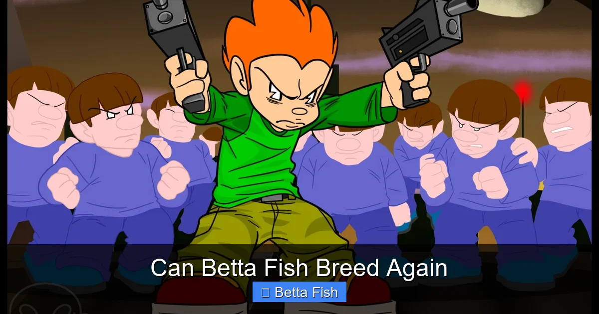 Can Betta Fish Breed Again