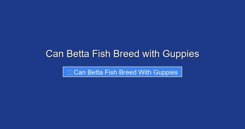 Can Betta Fish Breed with Guppies