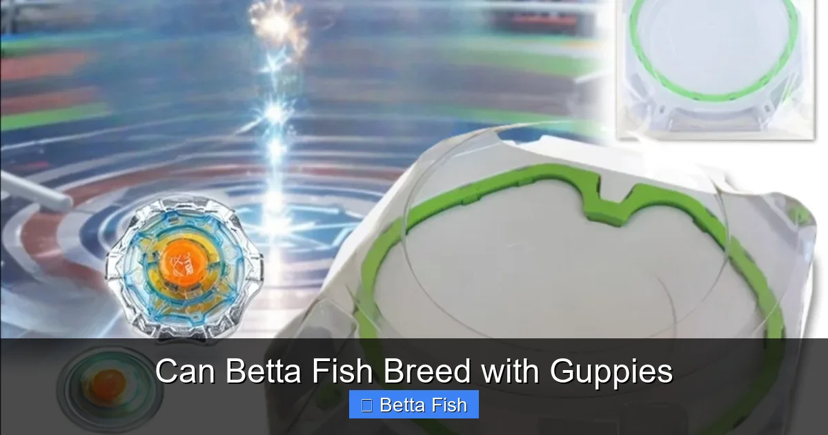 Can Betta Fish Breed with Guppies