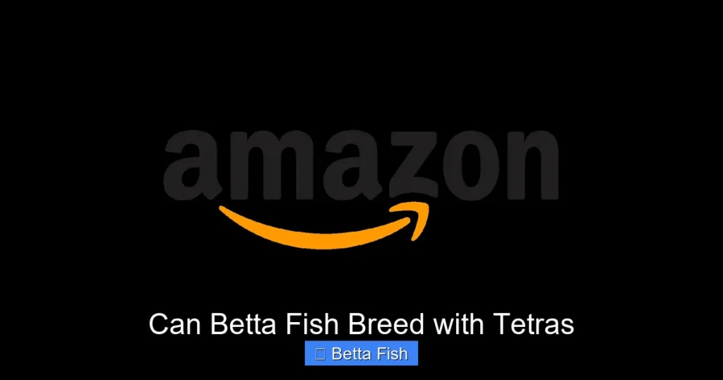 Can Betta Fish Breed with Tetras
