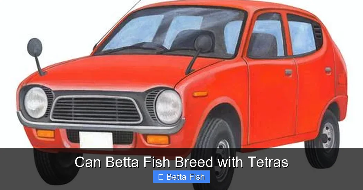 Can Betta Fish Breed with Tetras