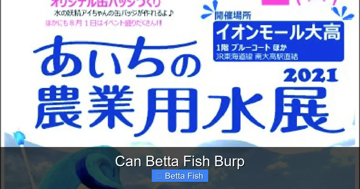 Can Betta Fish Burp