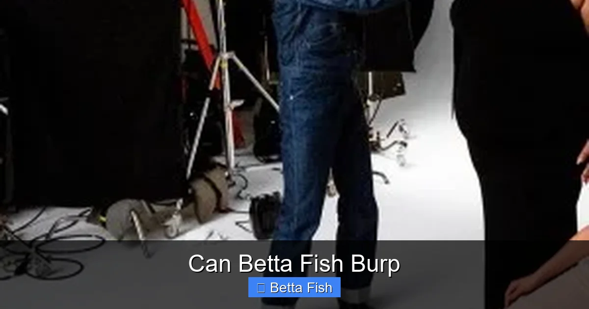 Can Betta Fish Burp