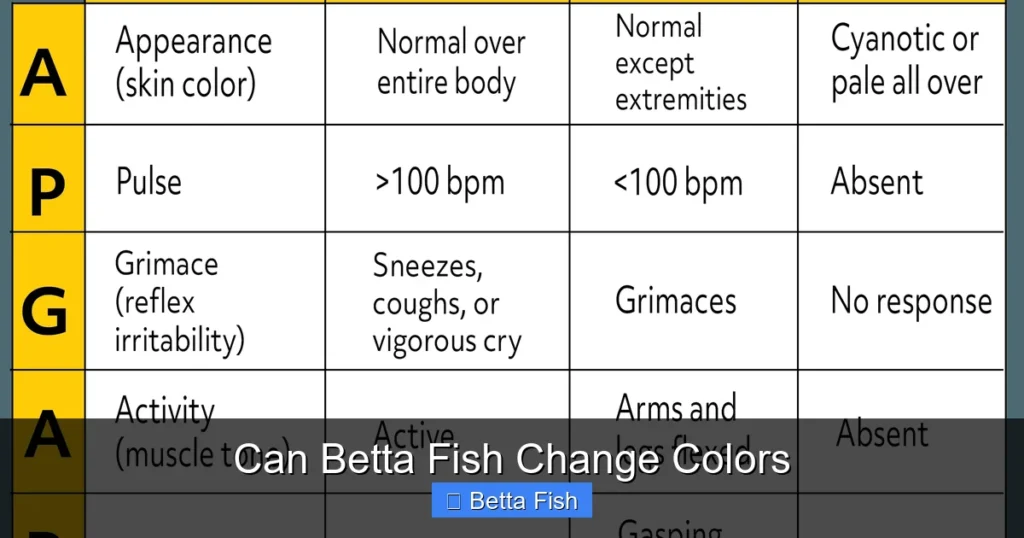 Can Betta Fish Change Colors