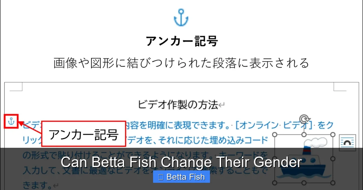 Can Betta Fish Change Their Gender