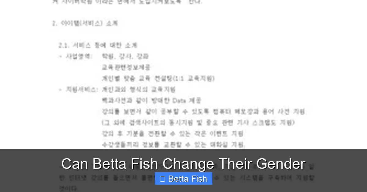 Can Betta Fish Change Their Gender