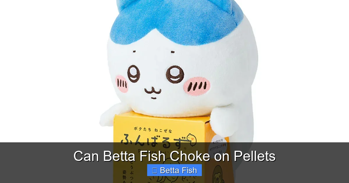 Can Betta Fish Choke on Pellets