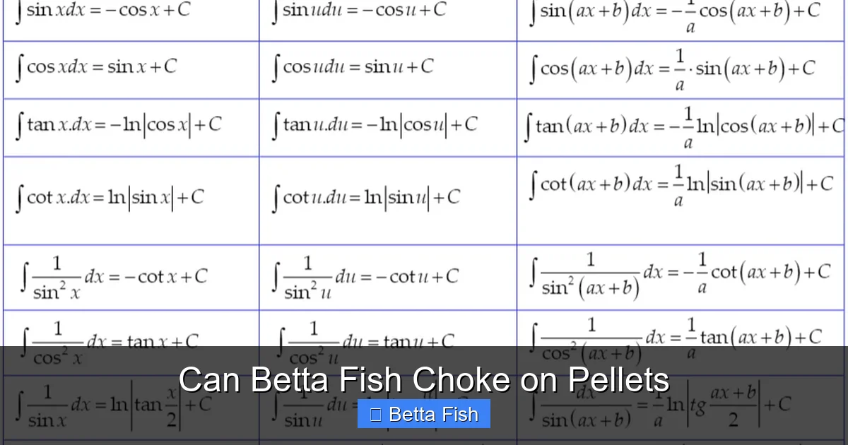 Can Betta Fish Choke on Pellets