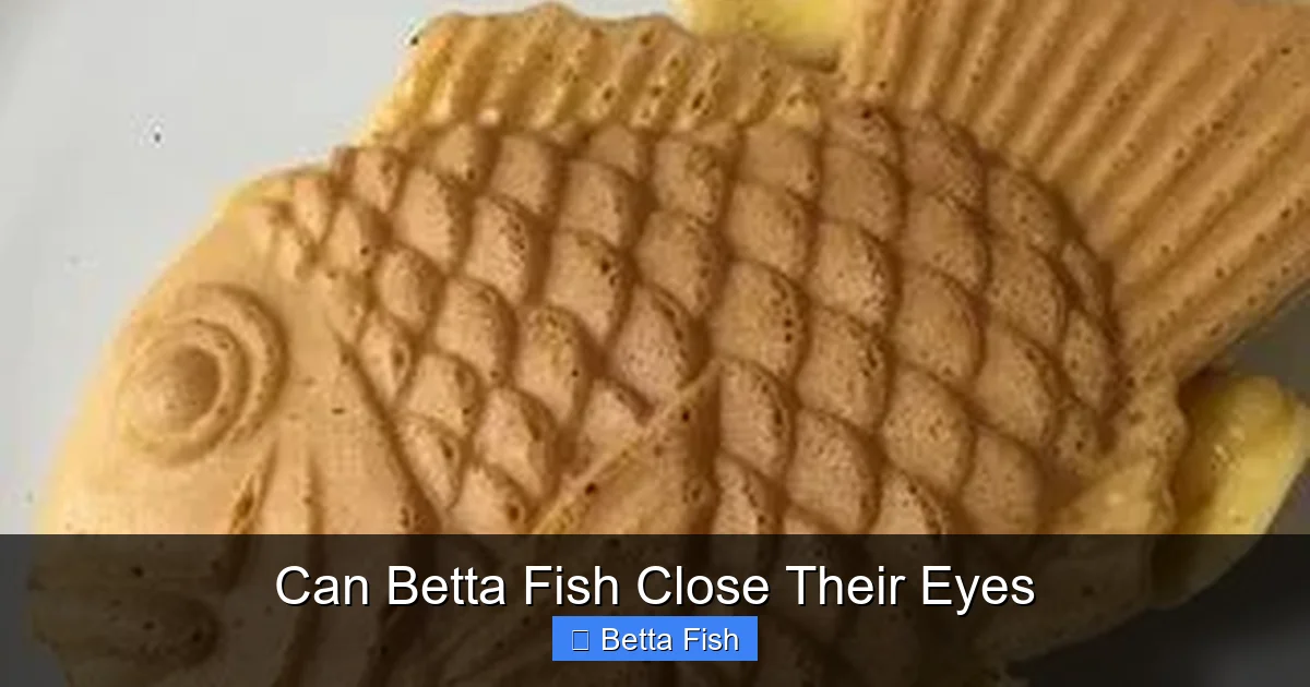 Can Betta Fish Close Their Eyes